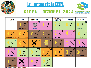 tarena oct 2024